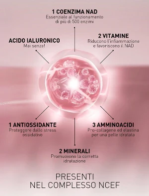 Immagine prodotto 3
